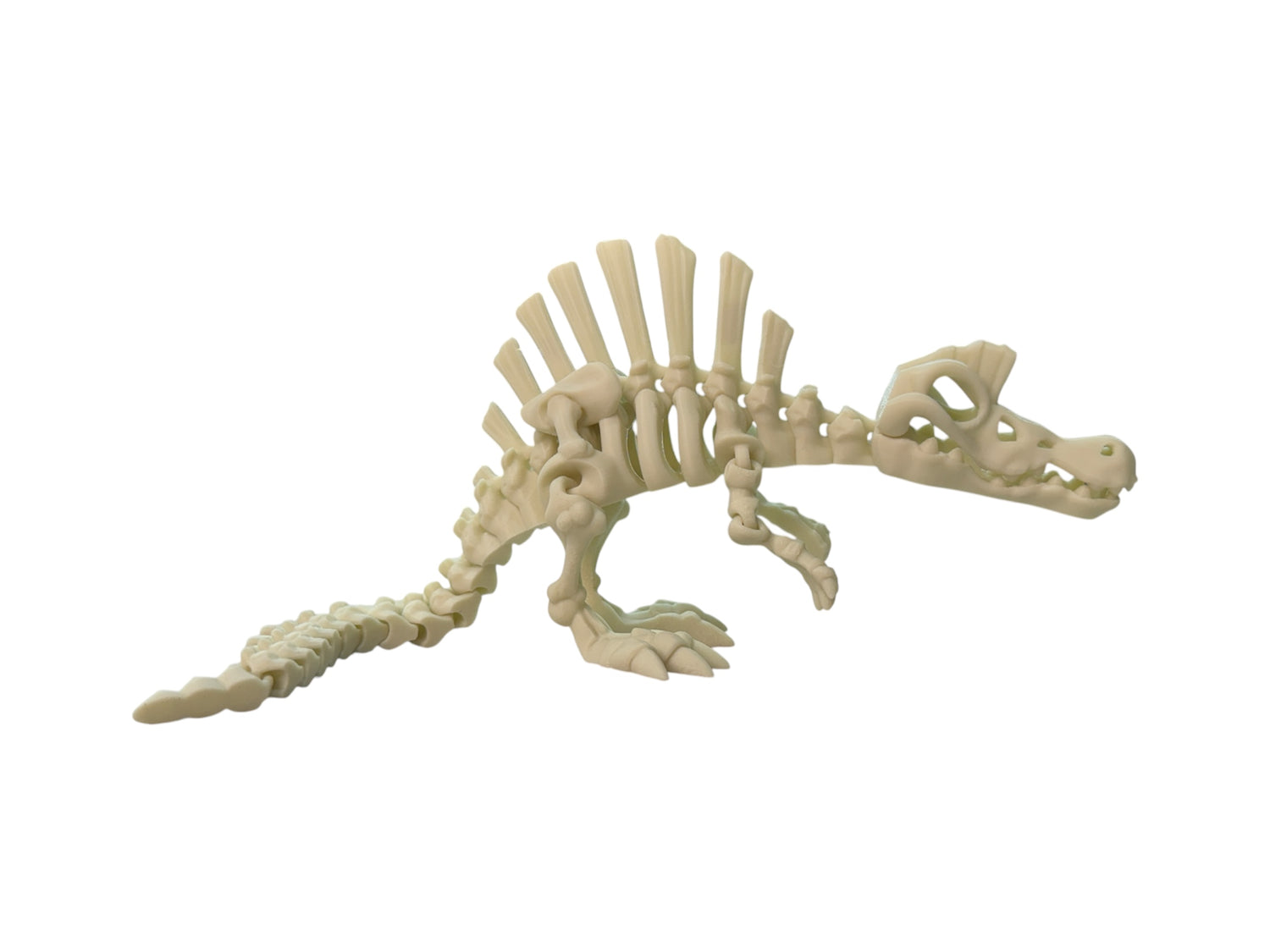 Dino Hunter Esqueleto de Spinosaurus