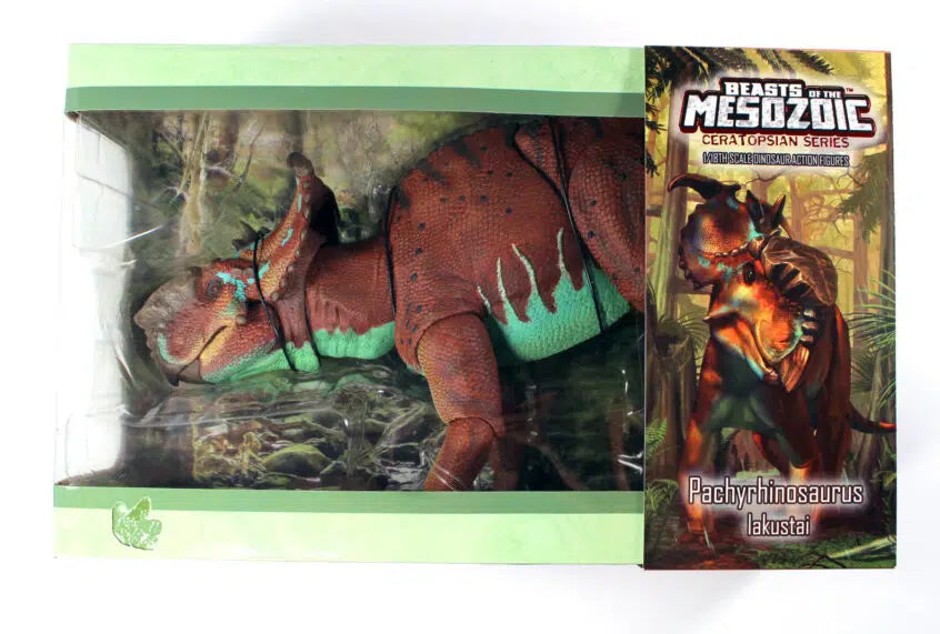 Beast of the Mesozoic "Pachyrhinosaurus"