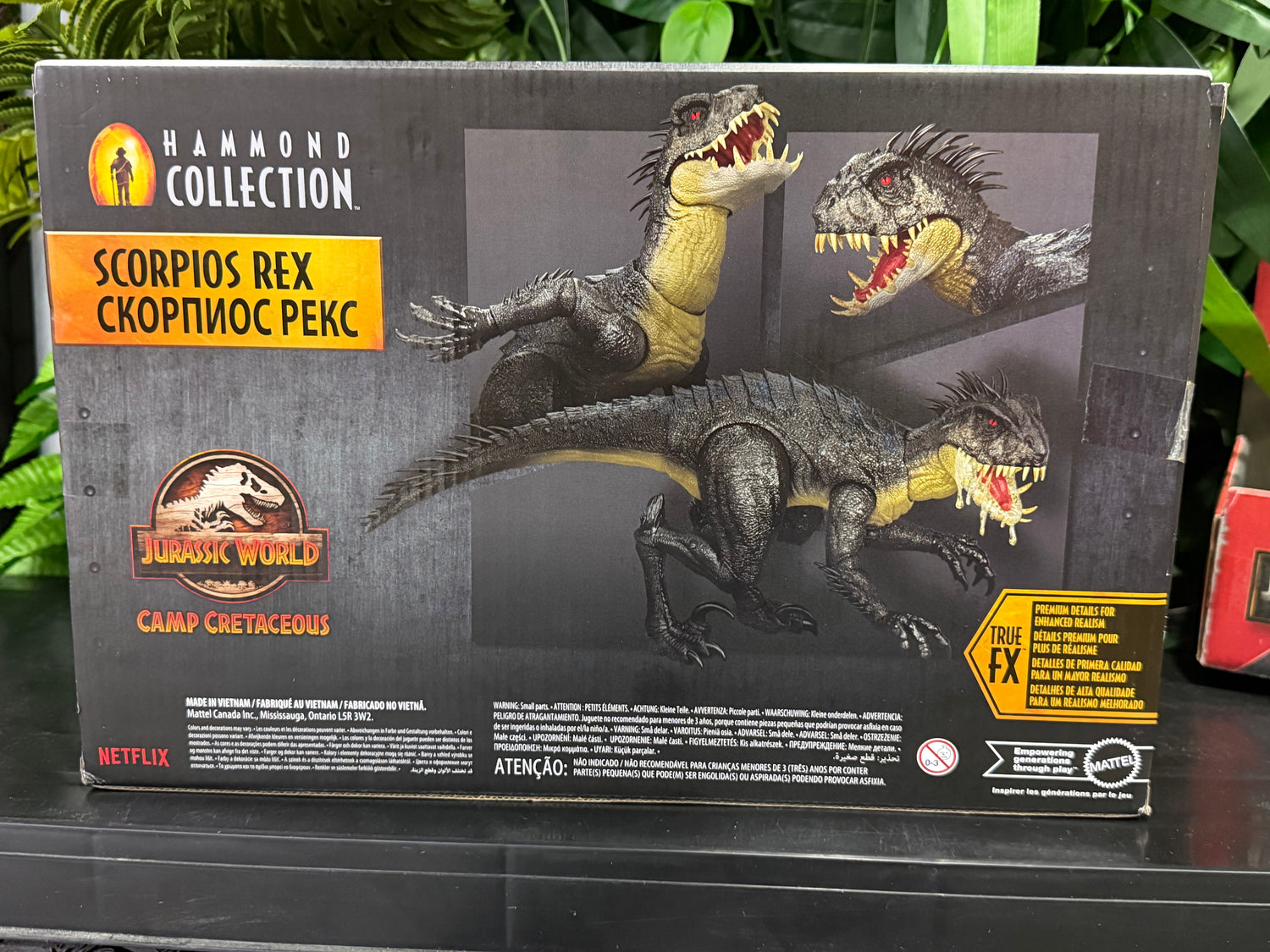 Scorpius Rex Hammond Collection