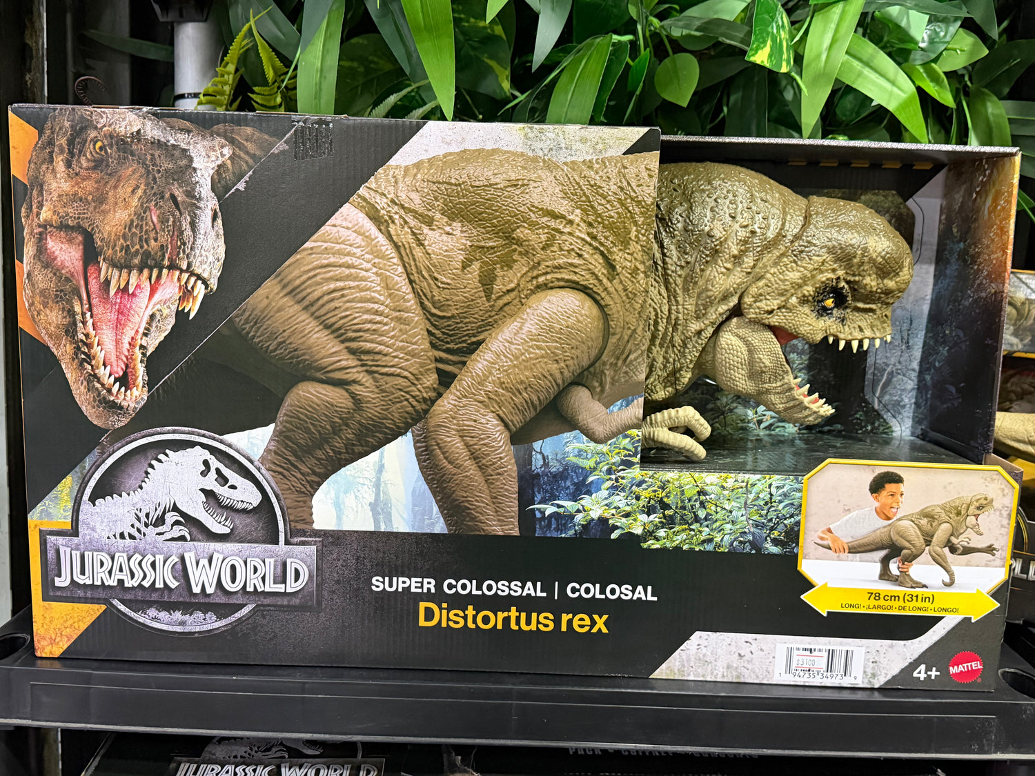 DISTORTUS REX COLOSAL