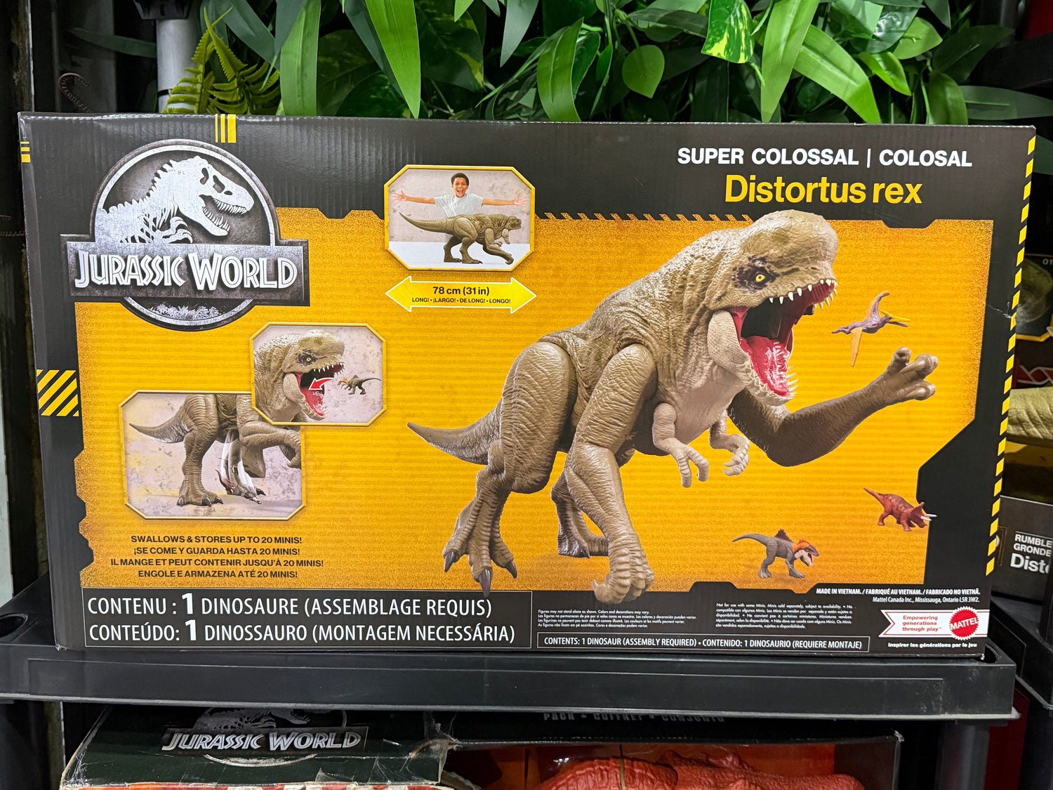 DISTORTUS REX COLOSAL