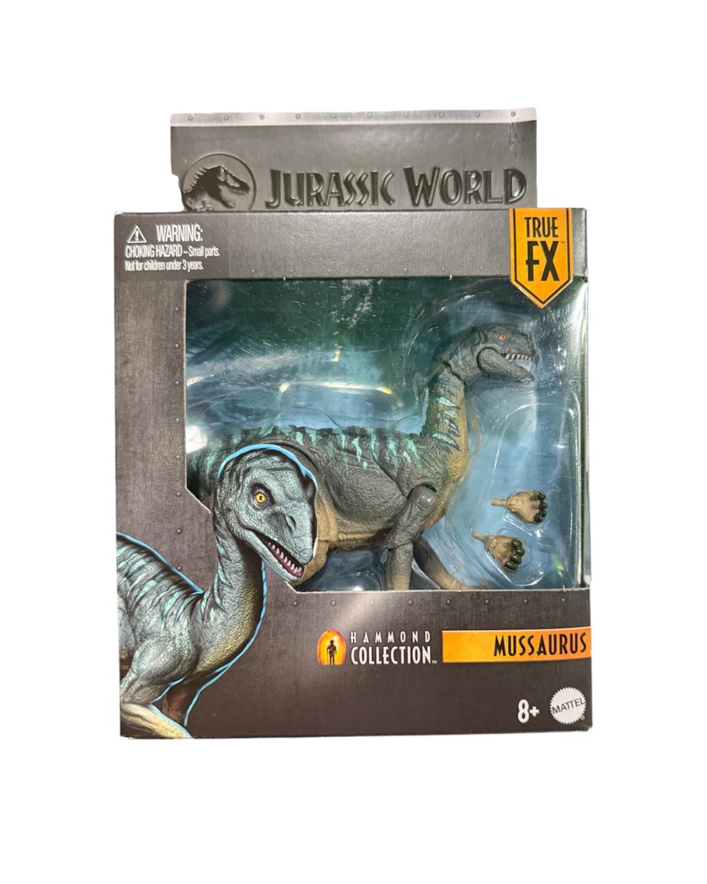 Mussaurus Hammond Collection