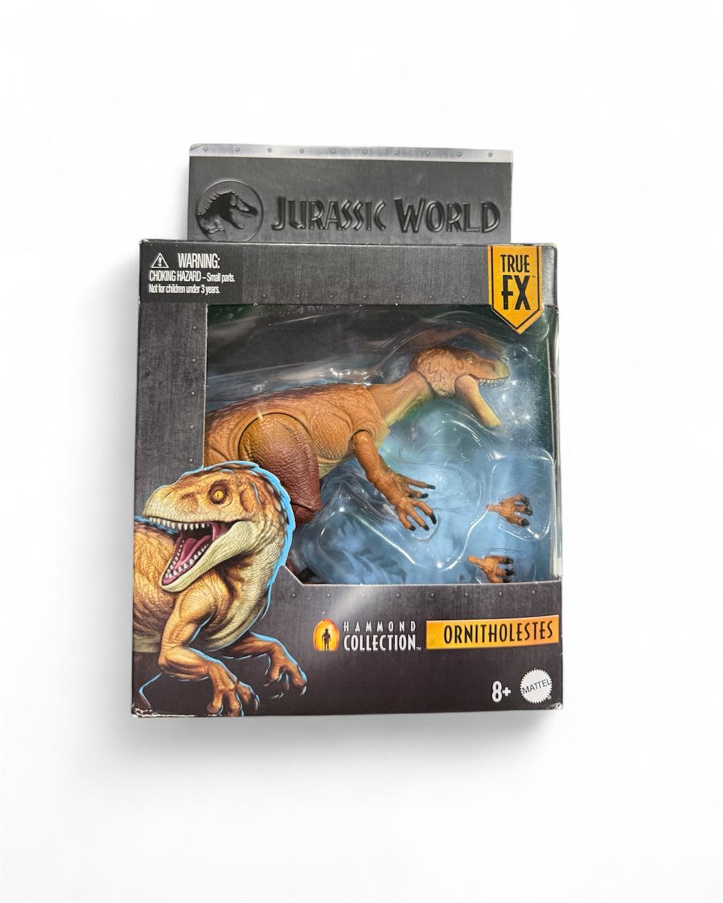 Ornitholestes hammond collection