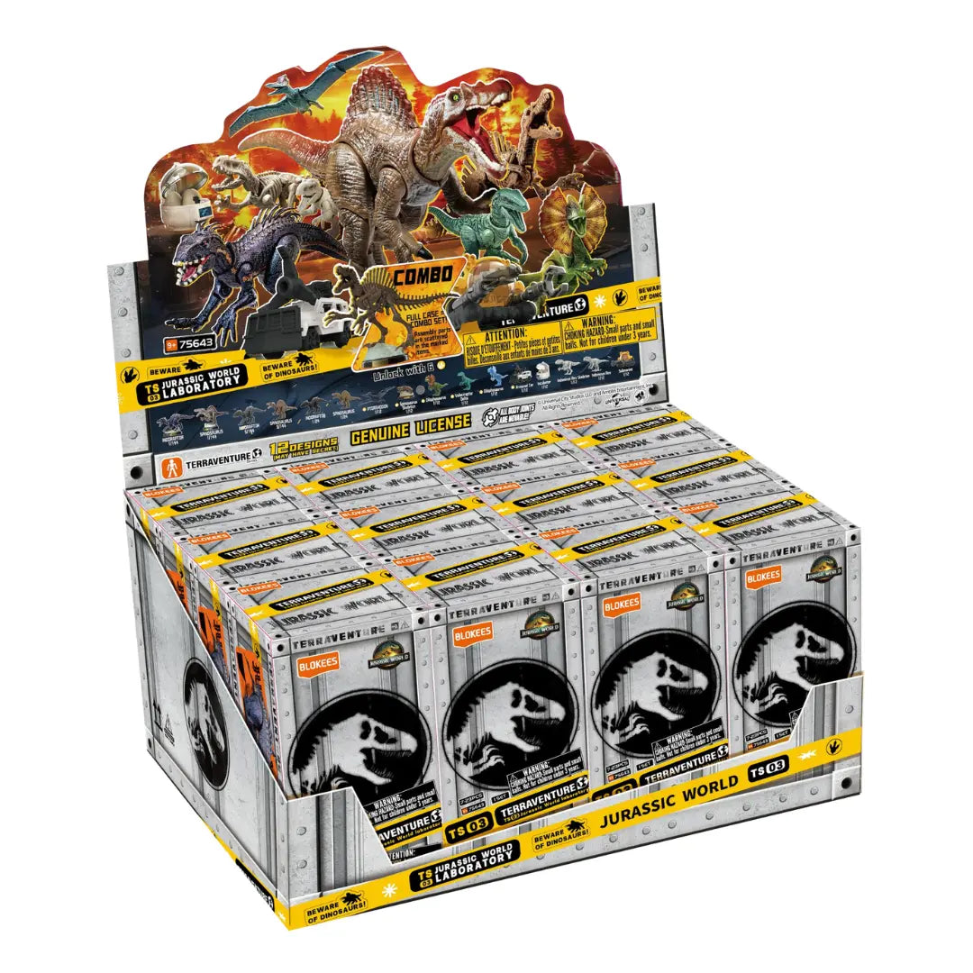Caja de blokees con 12 piezas serie 3
